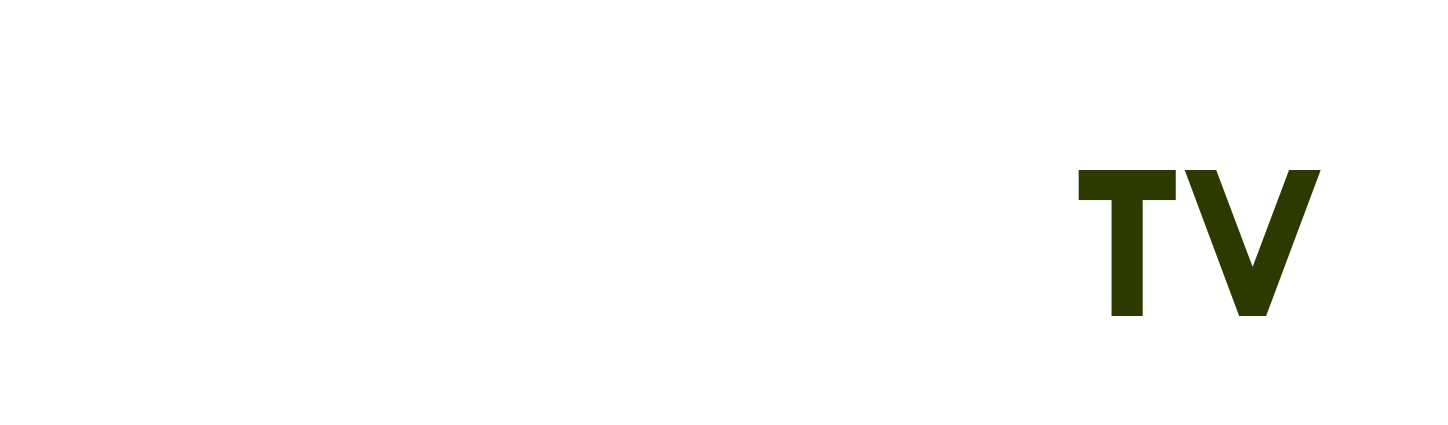 Https phwin com login - Phbet